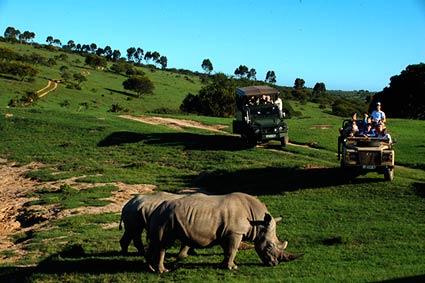 Scotia Game Reserve in Eastern Cape, South Africa