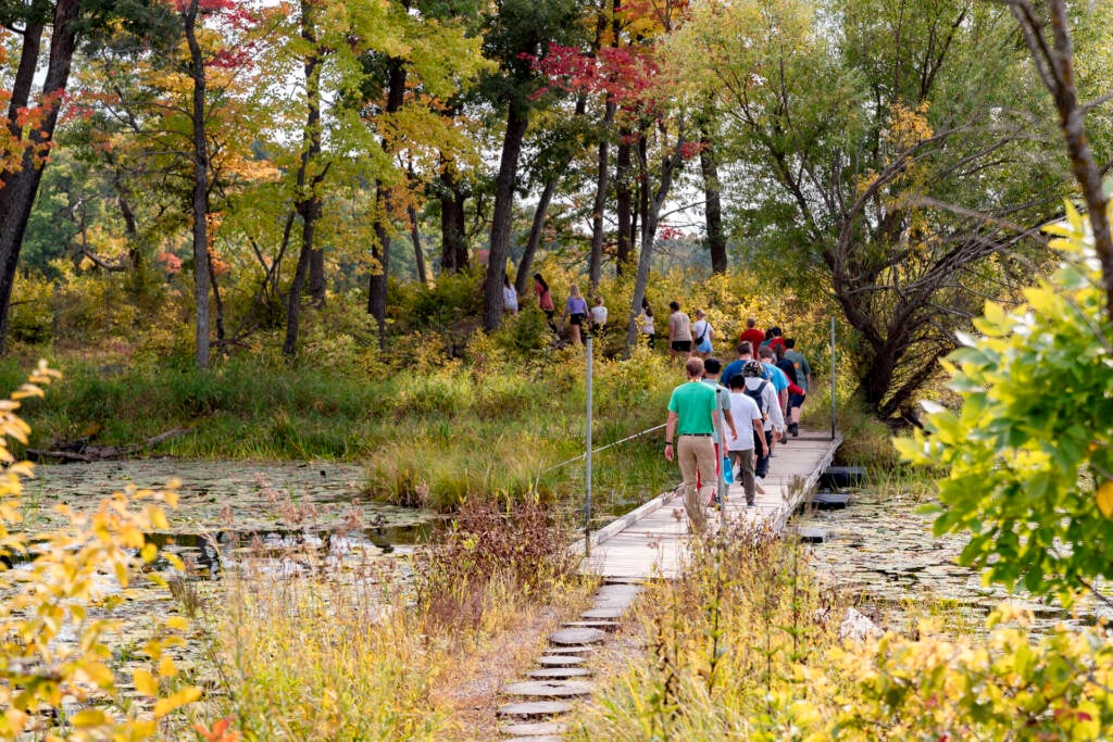 A group of people walk in single file across a narrow wooden bridge over a pond surrounded by trees with green and autumn-colored leaves.