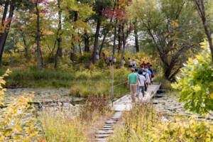 A group of people walk in single file across a narrow wooden bridge over a pond surrounded by trees with green and autumn-colored leaves.