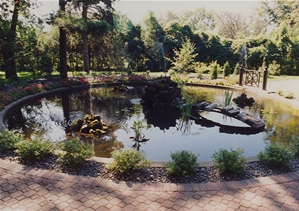 Fish Pond 2
