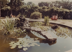 Fish Pond 1