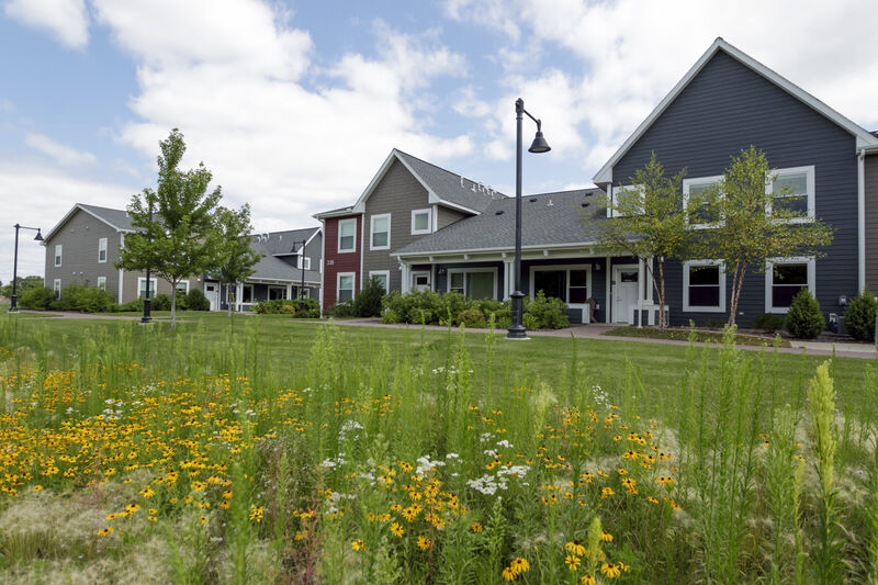 Row of modern townhouses with dark siding and white trim, surrounded by green lawns and a patch of yellow and white wildflowers in the foreground, under a partly cloudy sky.