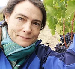 A woman wearing a blue jacket and a turquoise scarf is standing outdoors, smiling gently at the camera. She is holding a bunch of grapes on a vine, with green leaves from the vine visible in the background.