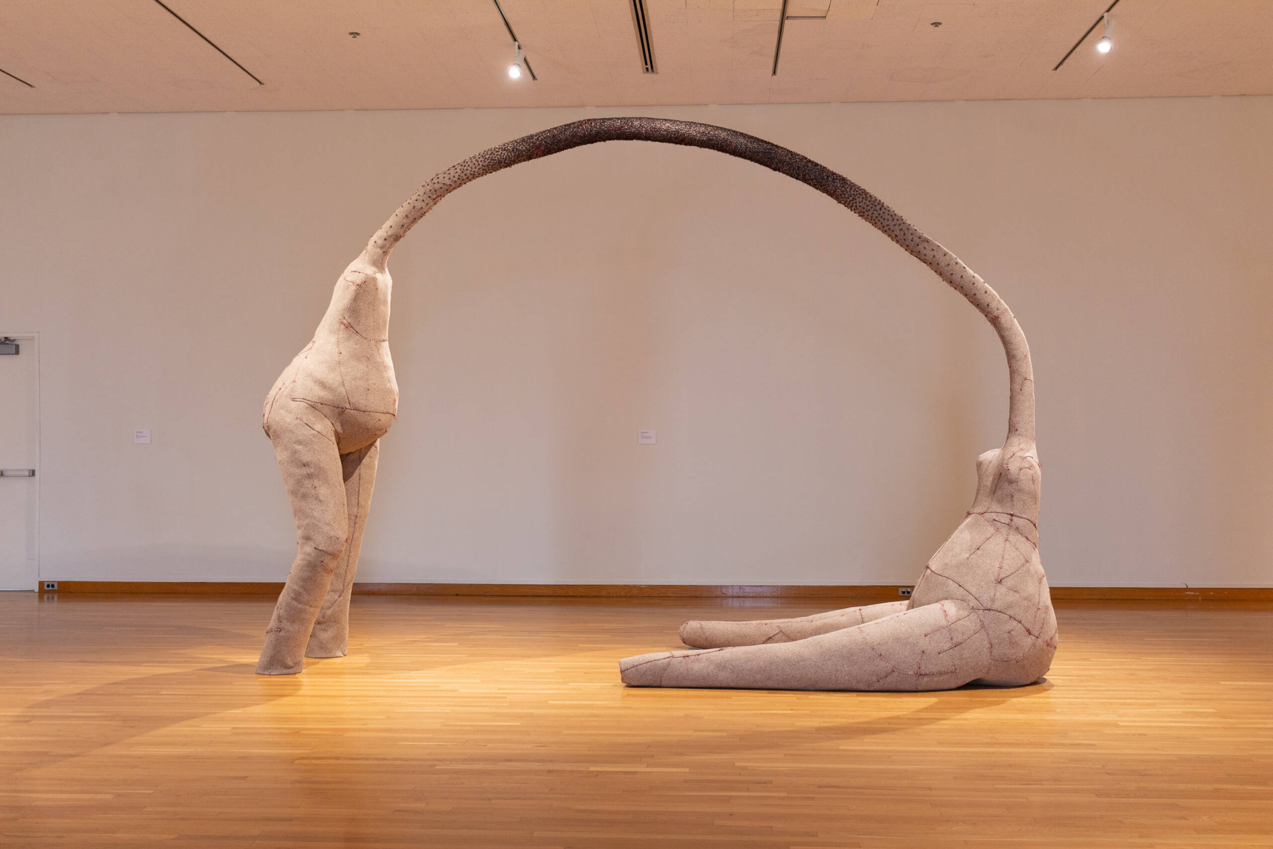 Two large fabric sculptures resembling abstract, headless human figures are connected by long, tube-like necks arching between them; one stands while the other sits on the wooden floor in a gallery space.