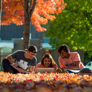 Students on a computer in the fall