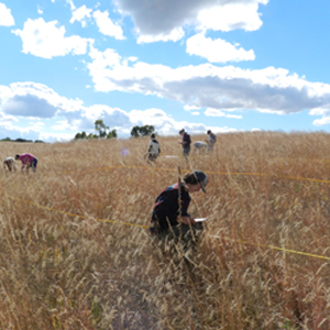 students collecting data during a lab in the prairie