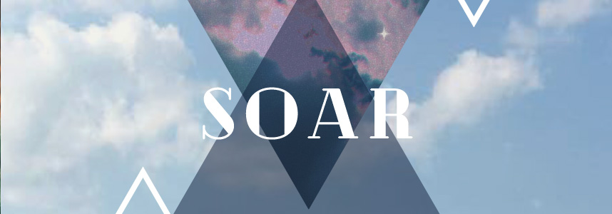 Senior Art Thesis Exhibition: SOAR
