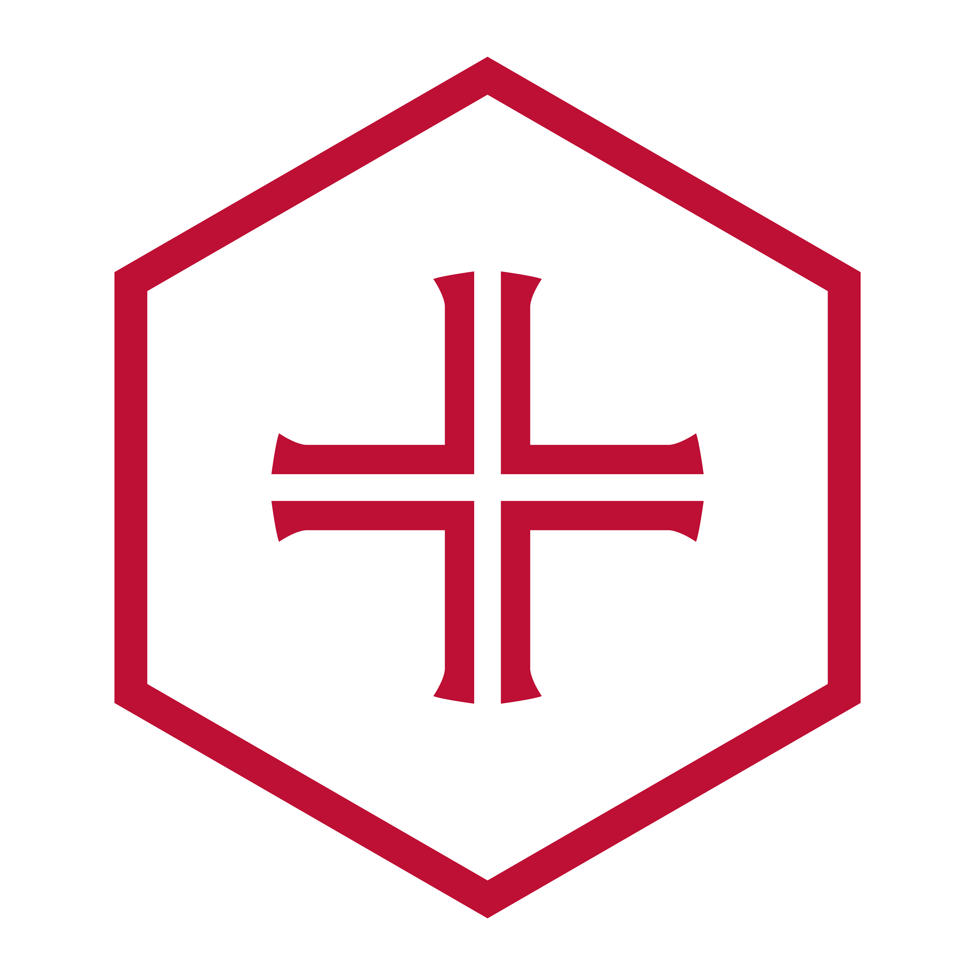 CSBSJU Hexagon with Cross icon