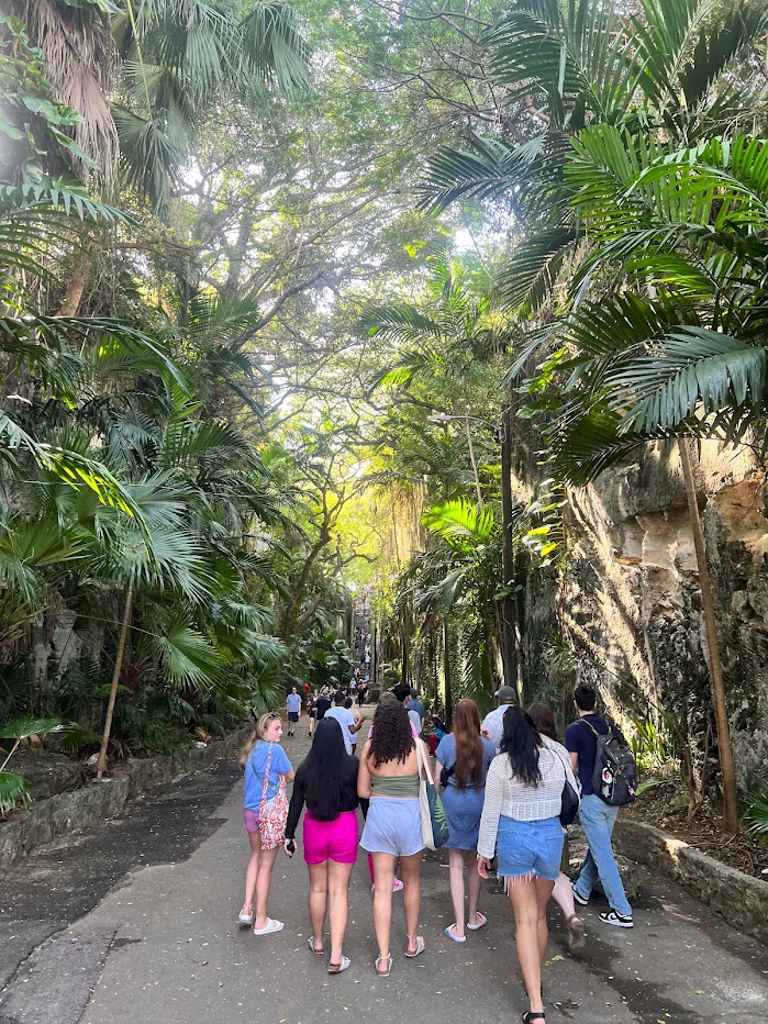 A group of people walks down a lush, tree-lined pathway. Tall palm trees and dense greenery arch overhead, creating a canopy. The path is paved, and sunlight filters through the leaves, casting dappled shadows on the ground.