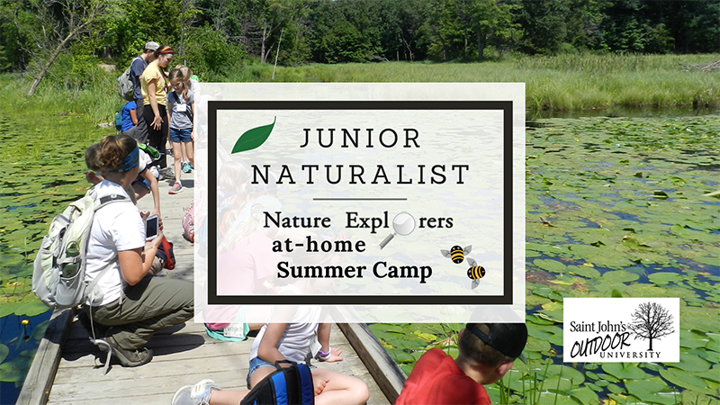 Jr. Naturalist Summer Camp - kids on boardwalk surrounded by lily pads