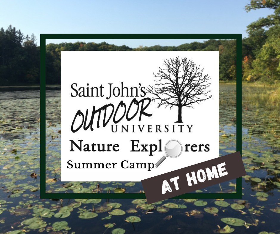 Nature Explorers "at home" Summer Camp