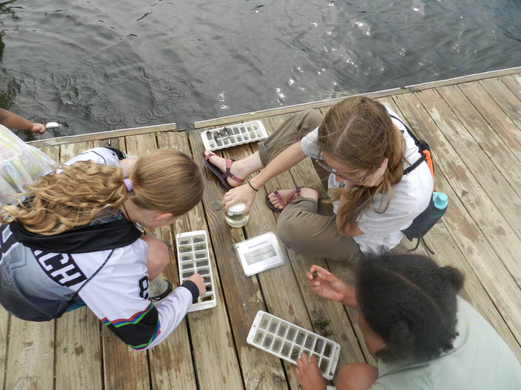 A group of people on a wooden dock are examining ice trays filled with specimens. One person holds a jar with water while others look at the trays. The water is nearby, and they appear focused, possibly engaged in a scientific activity.