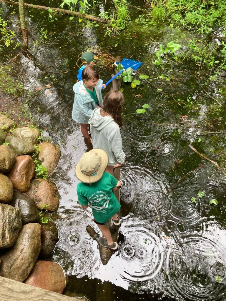 Three children stand on rocks in a shallow pond, holding a blue net. They're surrounded by rippling water and greenery. One child wears a hat and green shirt, while the others are in light raincoats. The scene captures a moment of exploration in nature.