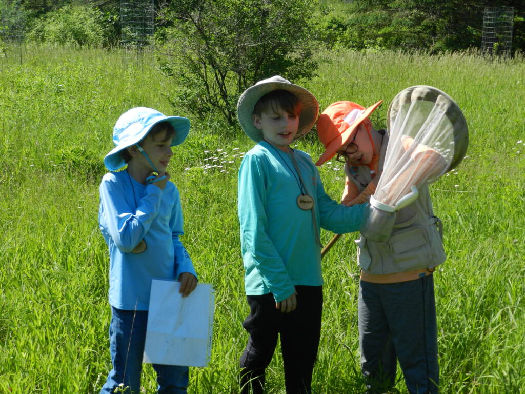 Three children in a grassy field during a sunny day. They are wearing hats and long-sleeve shirts. One child holds a net, another child has a map, and they appear engaged in exploration or learning about nature.