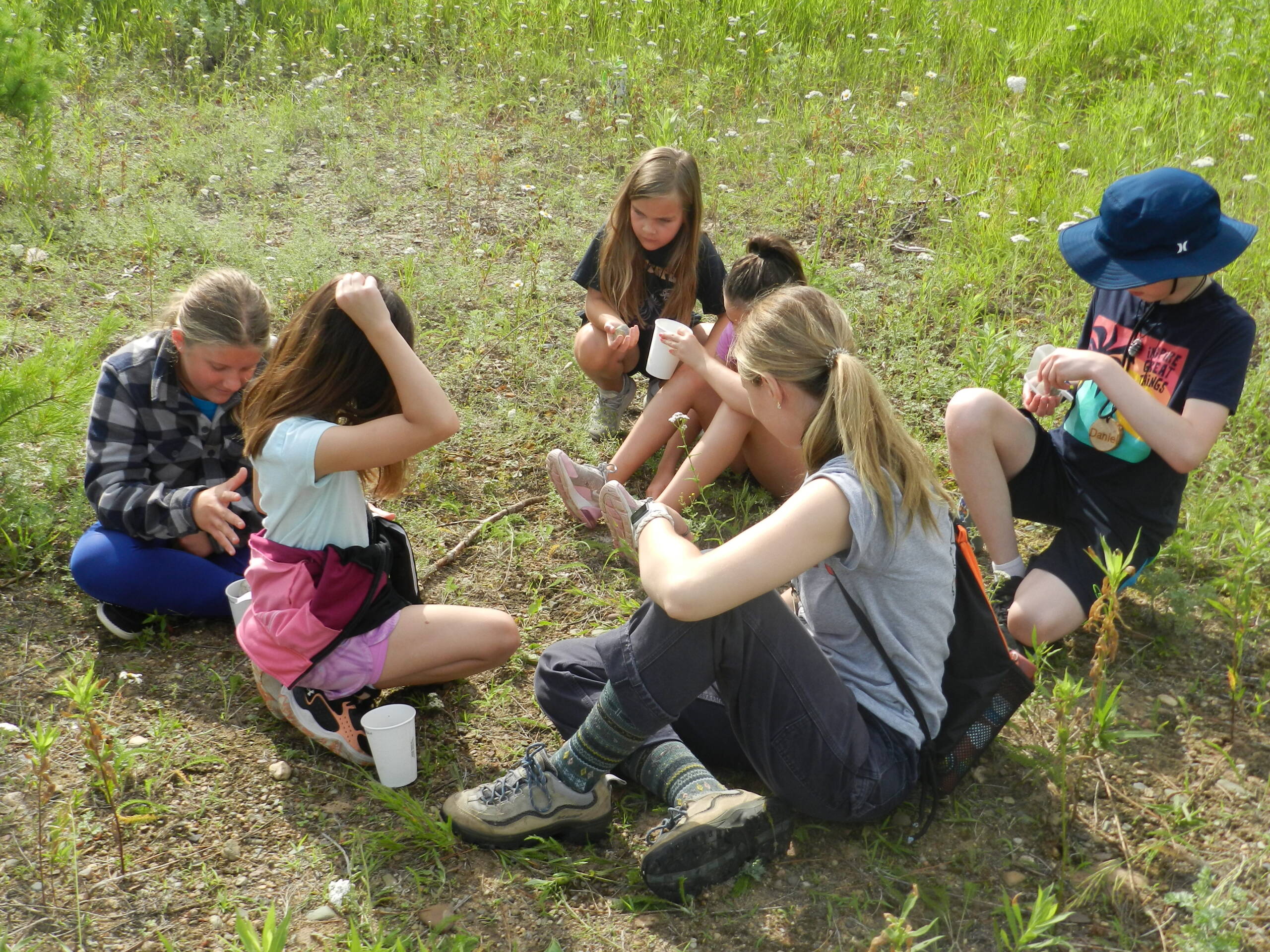 A group of children sitting on the grass, engaged in a nature activity. Some are examining items in their hands, while others look on. They are surrounded by greenery and wearing casual outdoor clothing.