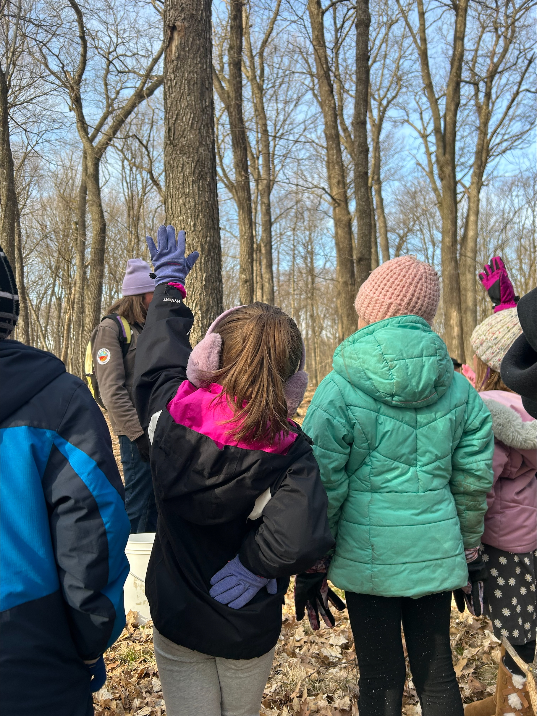 A group of children bundled in winter coats, hats, and gloves stand in a leaf-covered forest. One child with pink earmuffs and a black jacket raises her hand, facing an adult who appears to be leading the group.