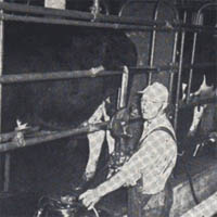 1890 Brick Barn Photo 8
