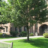 A tree stands in front of a brick building with arched windows and a grass lawn. Surrounding the tree are a few bushes and a wooden bench is partially visible in the foreground. The scene is lit by daylight, with blue skies peeking through the leaves.