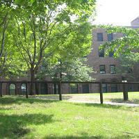A brick building with several large windows is partially obscured by lush green trees and a wooden fence. Sunlight filters through the leaves, casting dappled shadows on the grassy lawn. The scene appears peaceful and quiet.