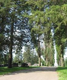 Cemetery, 2007