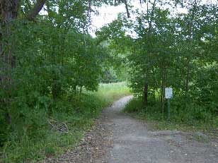 Abbey Arboretum Trails