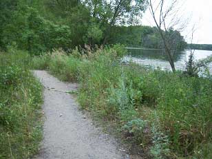 Abbey Arboretum Trails