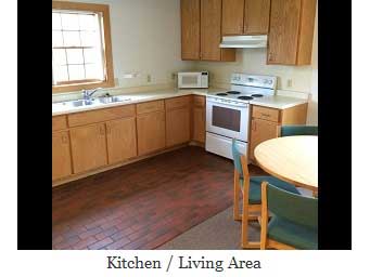 Vincent Court Kitchen / Living Area