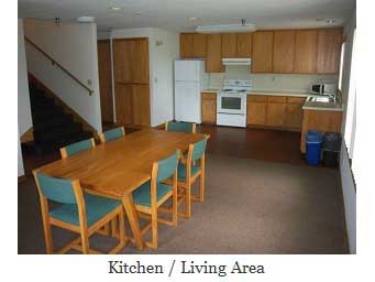 Vincent Court Kitchen / Living Room