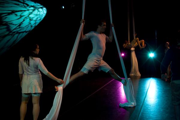 Performers in white attire perform aerial silk acrobatics on a dimly lit stage with colorful lights casting shadows. One person is mid-split while others hold silks or pose in the background.