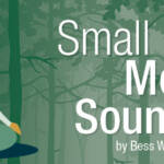 Illustration of a person meditating in a forest with green trees. Text reads "Small Mouth Sounds by Bess Wohl.