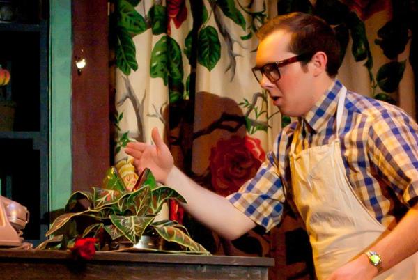 A person in glasses and a plaid shirt, wearing an apron, gestures towards a small plant sitting on a table. The background features patterned curtains with large leaves and flowers.