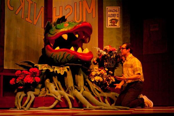 A person in a plaid shirt kneels in front of a large, menacing plant with sharp teeth and tentacle-like vines. The plant is surrounded by flowers, and a sign reading "Amazing Audrey II" is visible in the background.
