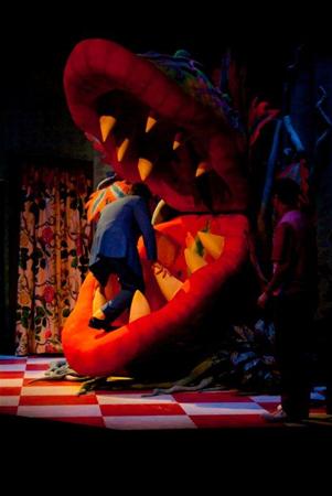 A stage performance featuring a person being eaten by a giant, colorful plant with large teeth. The scene is dramatic, with vivid lighting and a checkered floor enhancing the theatrical atmosphere.