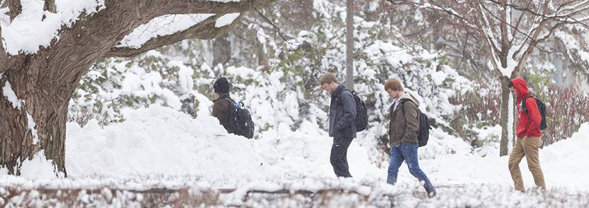Four people walking in a line through a snow-covered landscape, with large trees and snow-laden bushes in the background. They all have backpacks and are dressed in winter clothing, including coats and hats, to stay warm in the cold weather.