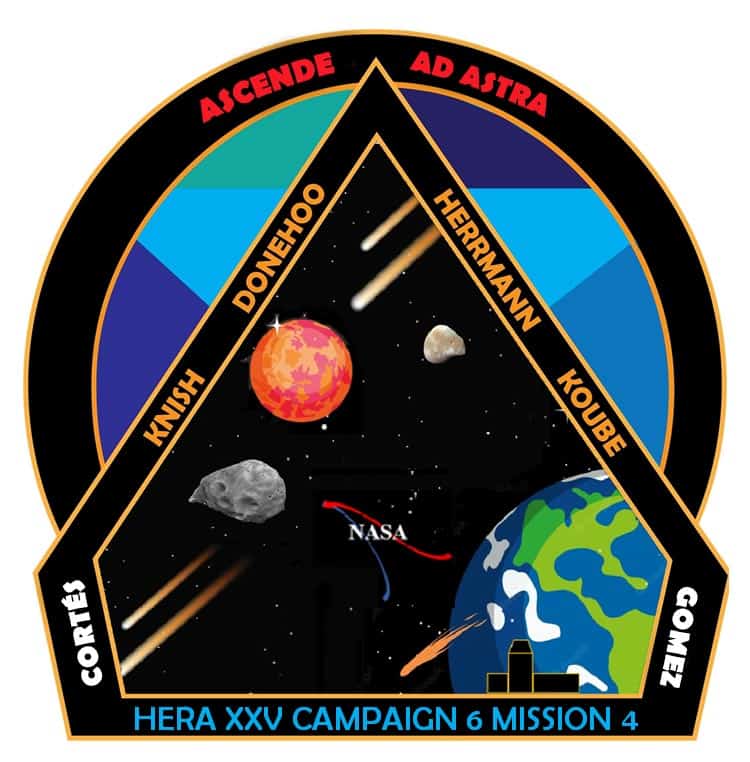 Knish NASA patch