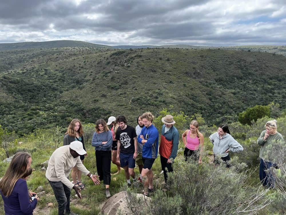 Bennies and Johnnies looking at termites
