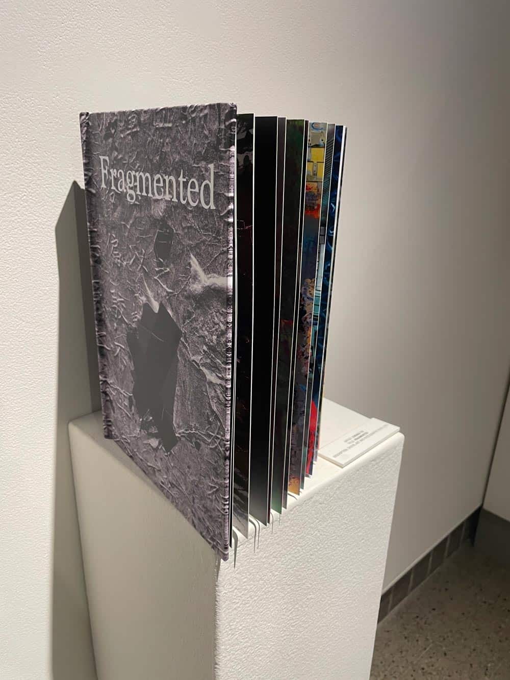 Chenxu Yu's "Fragmented"