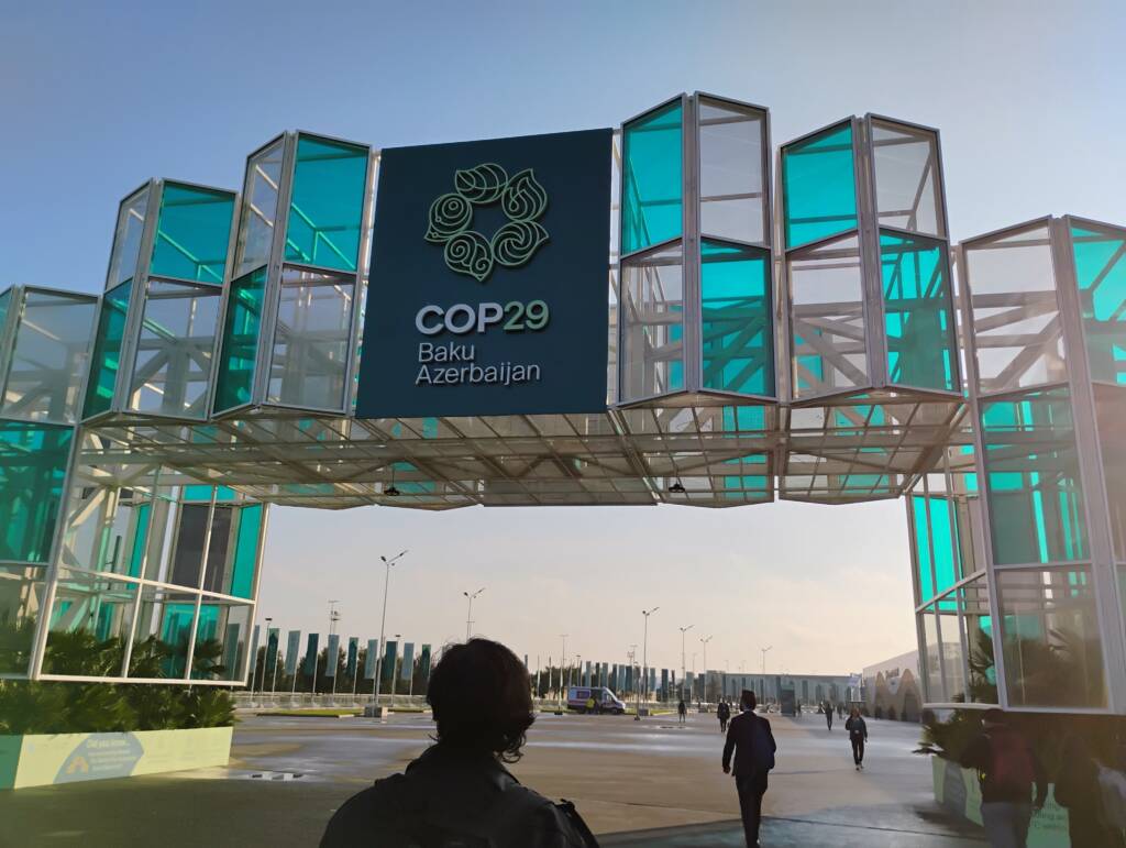 CSB and SJU students gain valuable perspective at U.N. Climate Change Conference