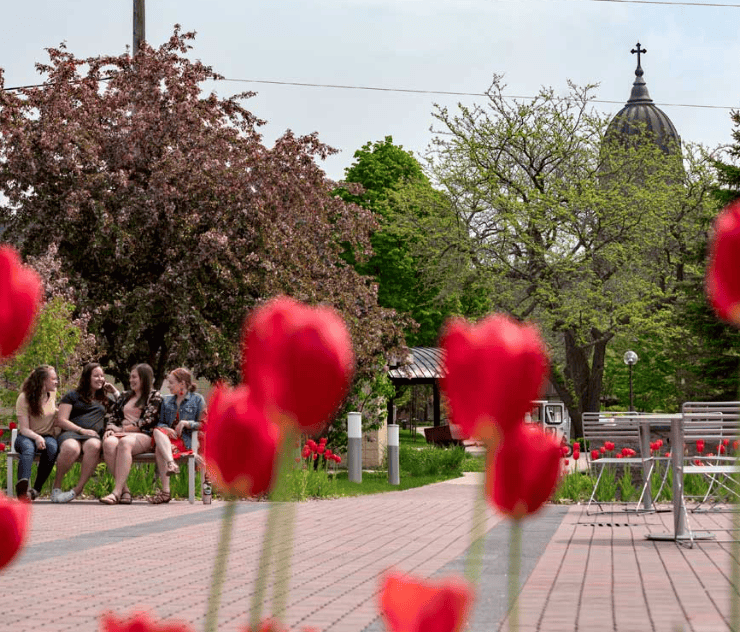 A group of people sit and talk on a bench in a park with red tulips in the foreground and a large domed building with a cross in the background. Trees and park benches are visible on a sunny day.
